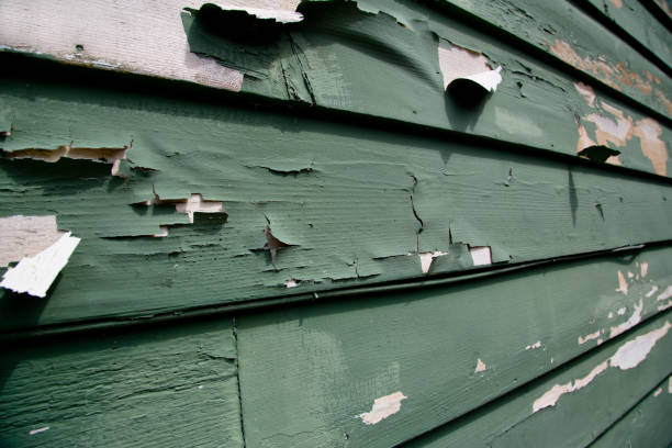 Best Hoarding Cleanup  in Cotter, AR