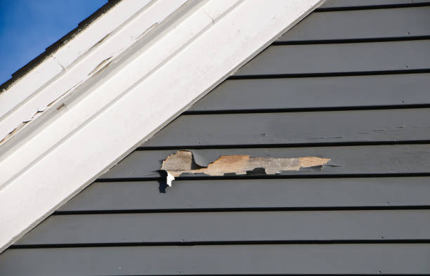 Best Property Management Cleanouts  in Cotter, AR